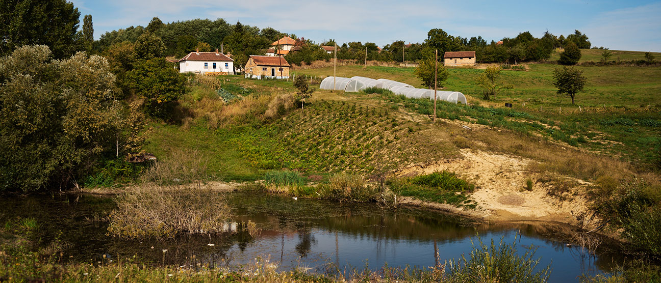 organela.rs poslovanje