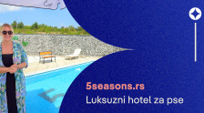 5Seasons: Луксузни хотел за псе